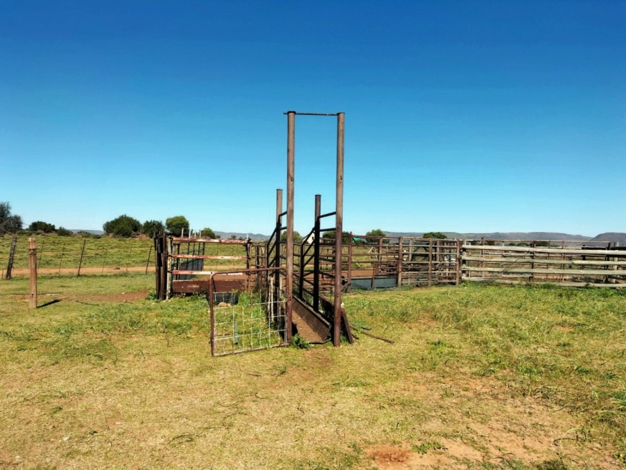 4 Bedroom Property for Sale in Bloemfontein Rural Free State